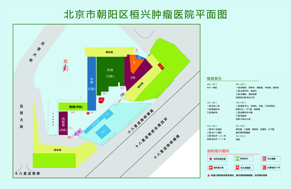 黄片骚逼北京市朝阳区桓兴肿瘤医院平面图